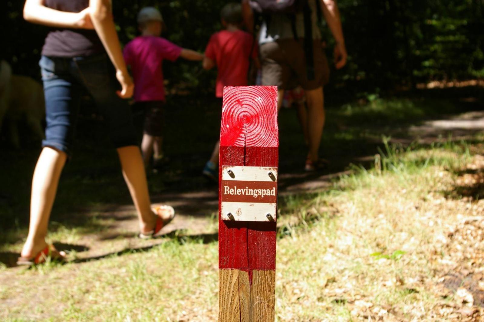 Camping De Reeenwissel Hoogersmilde Εξωτερικό φωτογραφία